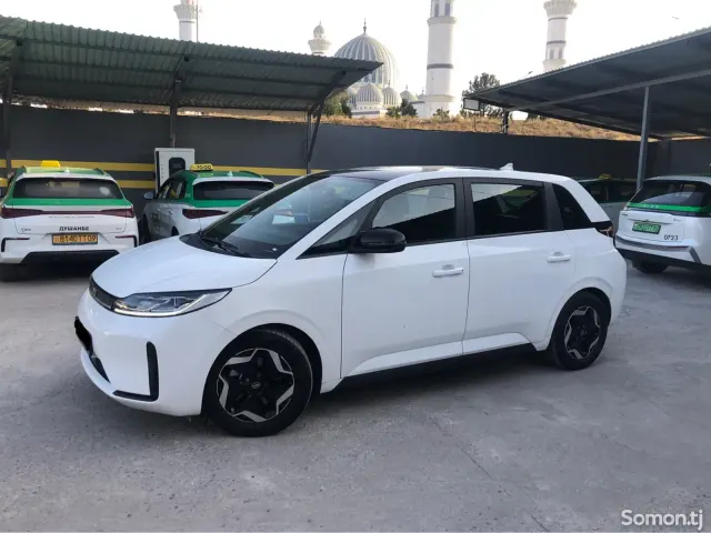 BYD D1 2021 · 2.0 AT