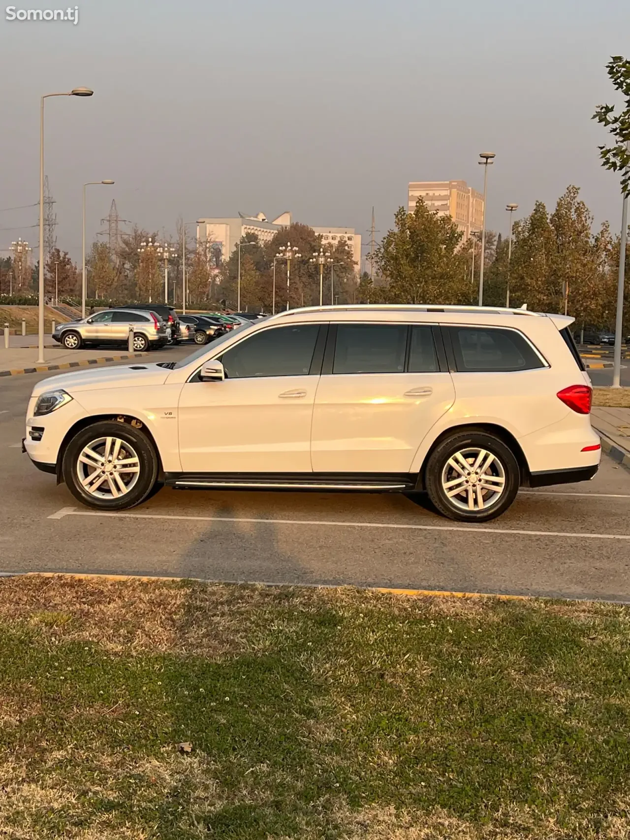 Mercedes-Benz GL class 2014 · 4.7 AT