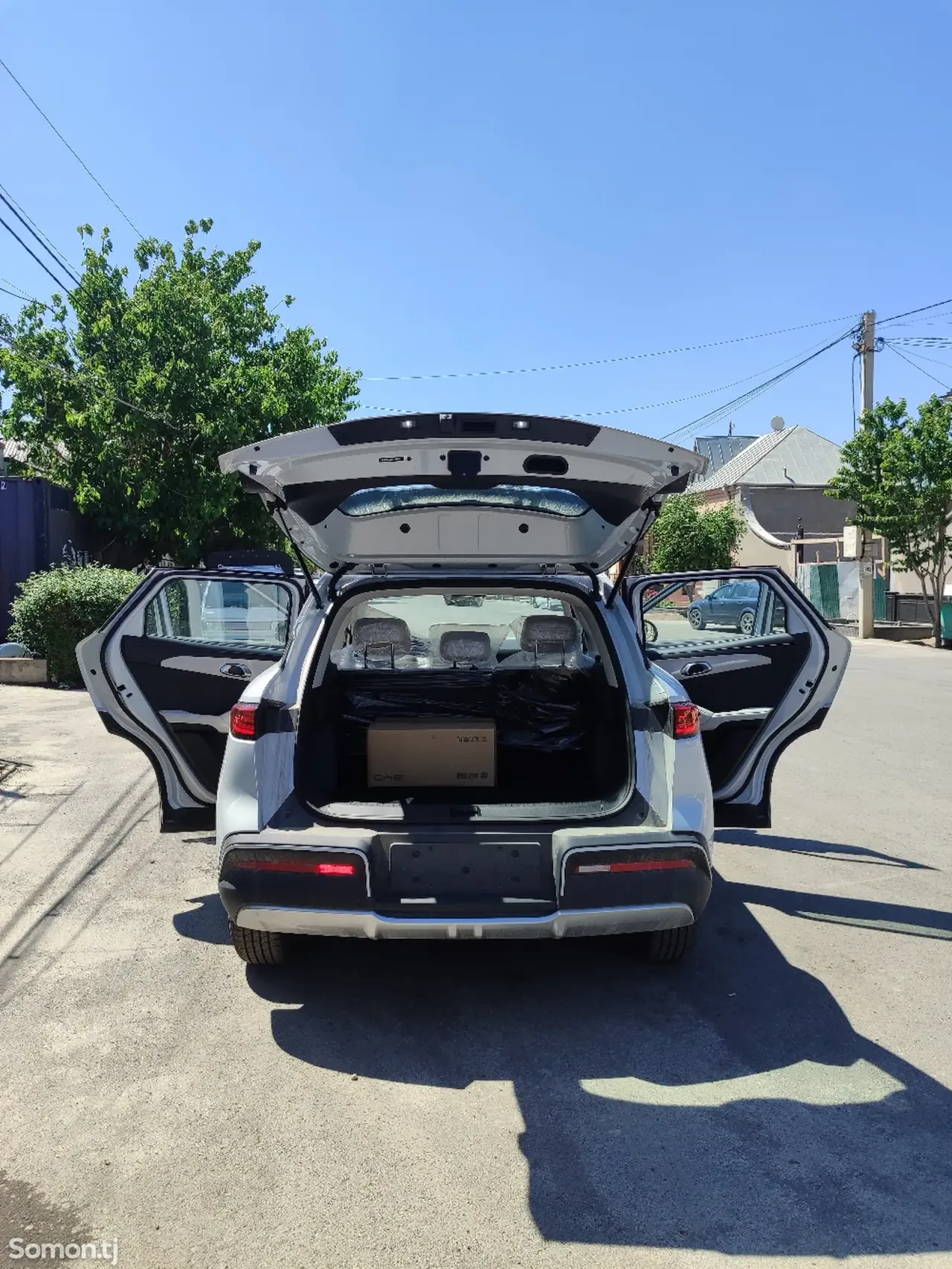 BYD Yuan Up 2025 · AMT