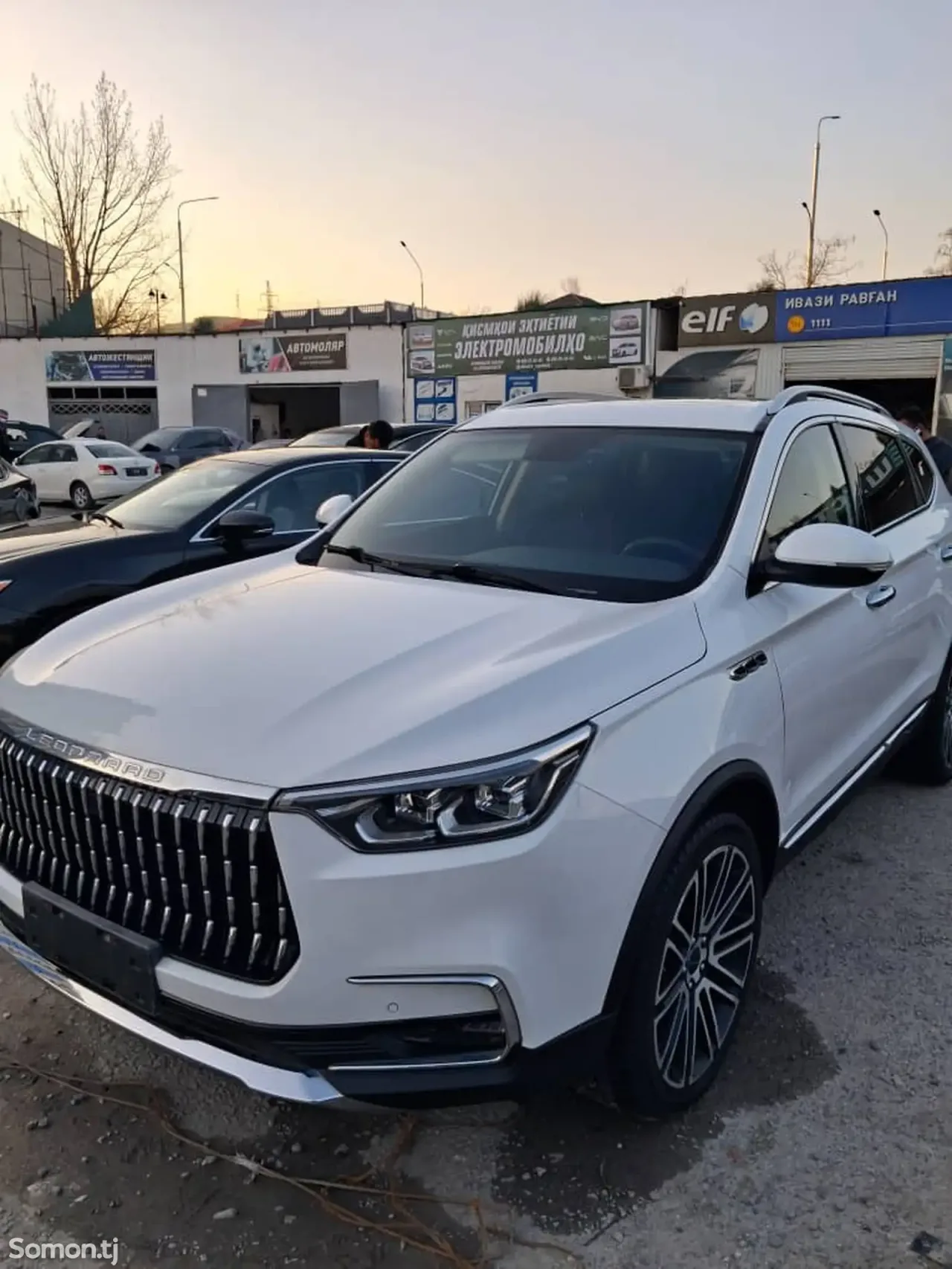 Leopaard Mattu 2018 · 1.6 AT