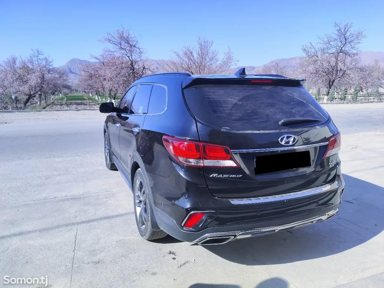 Hyundai Maxcruz 2017 · 2.2 AT
