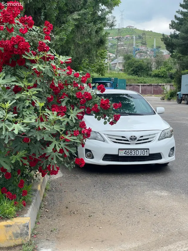 Toyota Corolla 2009 · 1.6 AT
