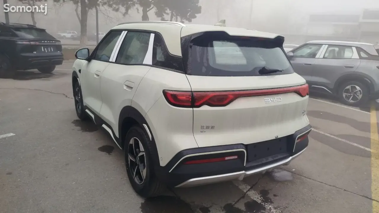 BYD Yuan Up 2025 · 2.0 AT
