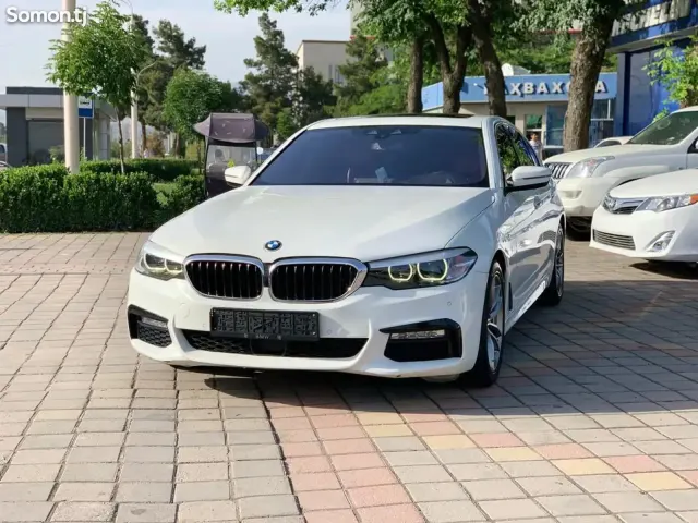 BMW 5 series 2018 · 2.0 AT