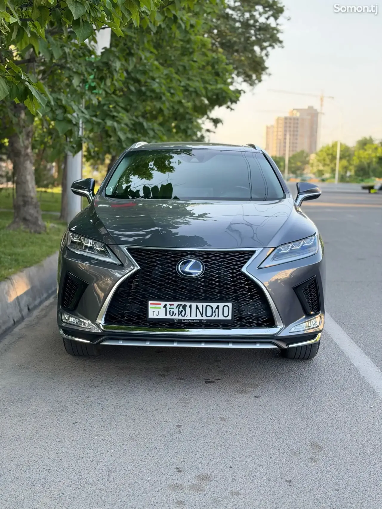 Lexus RX series 2022 · 4.5 AT