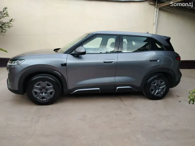 BYD Yuan Up 2025 · AMT
