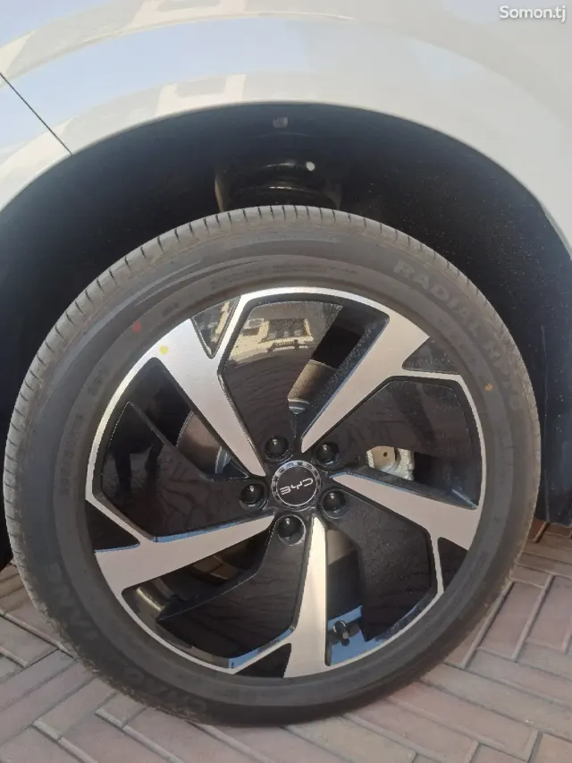 BYD Song Plus 2025 · AMT