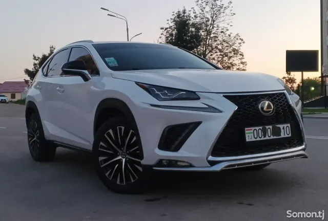 Lexus NX series 2017 · 2.0 AT