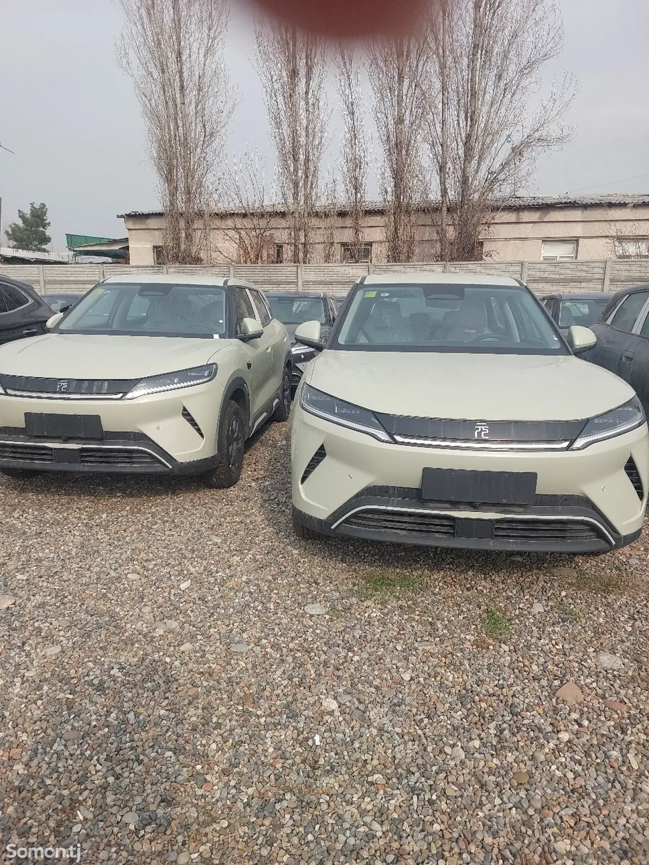 BYD Yuan Up 2025 · 2.0 AT
