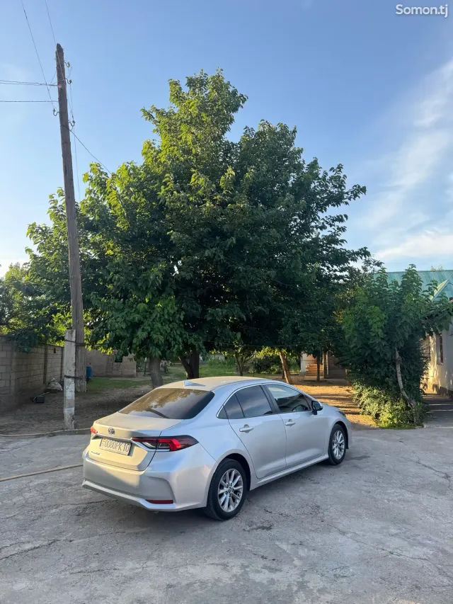 Toyota Corolla 2019 · 1.6 MT