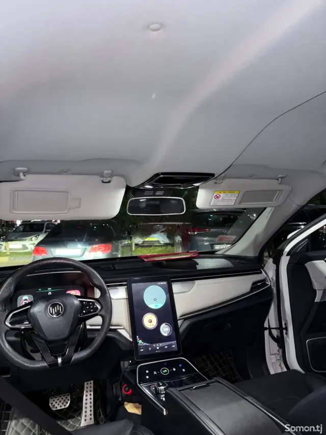 Weltmeister EX5 2019 · AMT