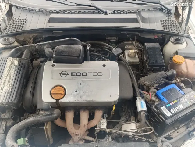 Opel Vectra B 1999 · 1.6 MT