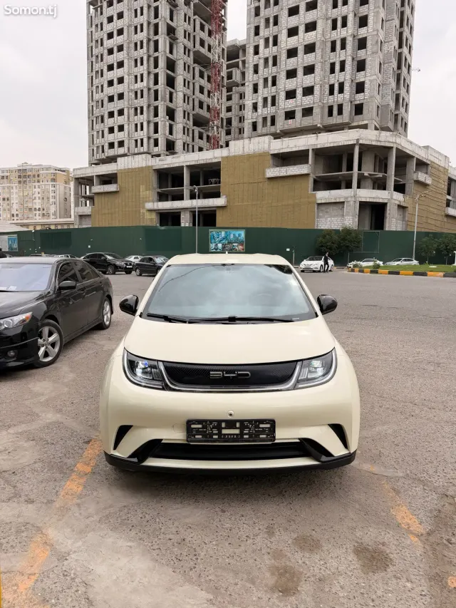BYD Dolphin 2023 · AT