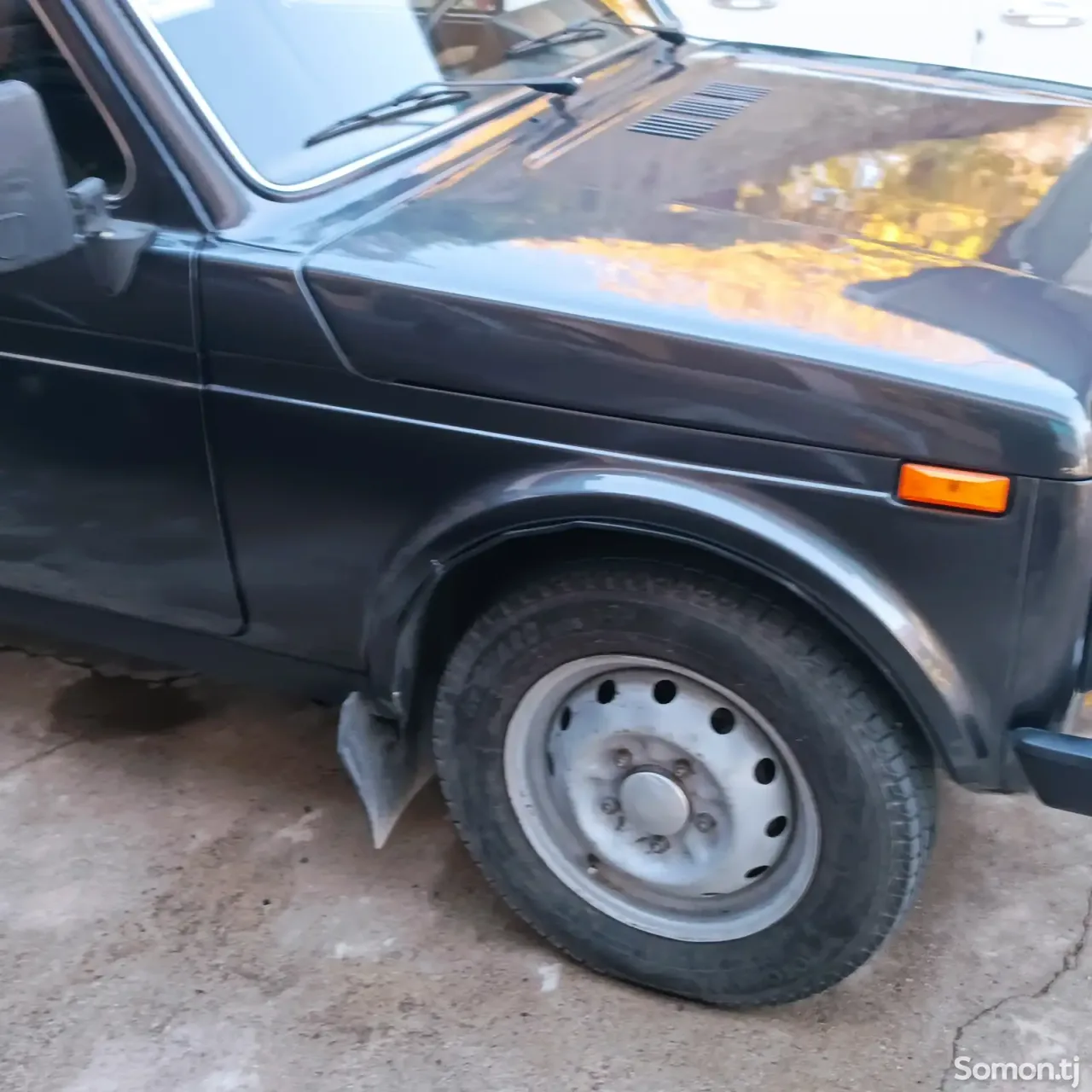 Lada (ВАЗ) Нива 1999 · 1.6 MT
