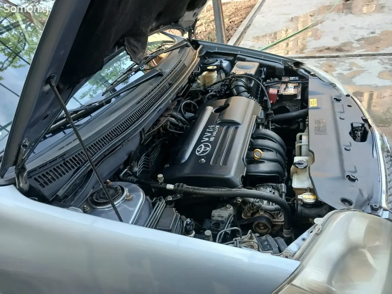 Toyota Corolla 2004 · 1.6 MT