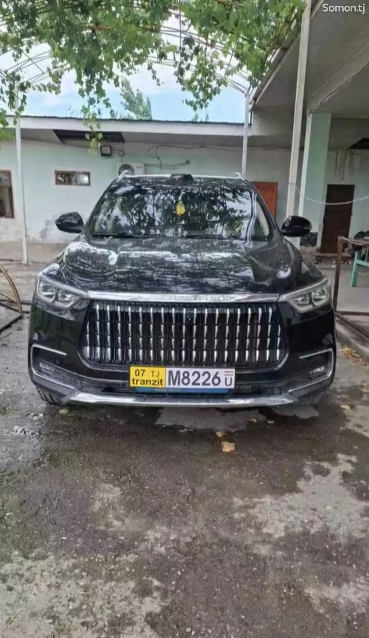 Leopaard Mattu 2019 · 1.8 AT