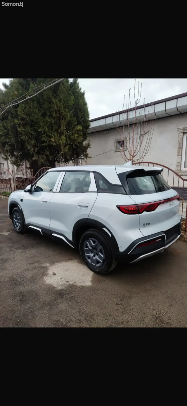 BYD Yuan Up 2025 · AT