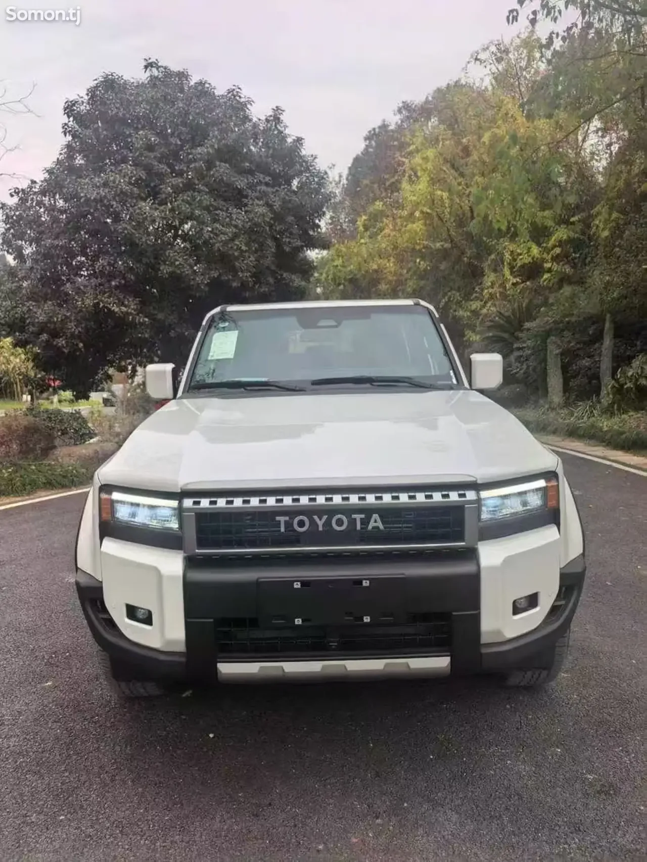Toyota Land Cruiser Prado 2025 · 2.5 AT
