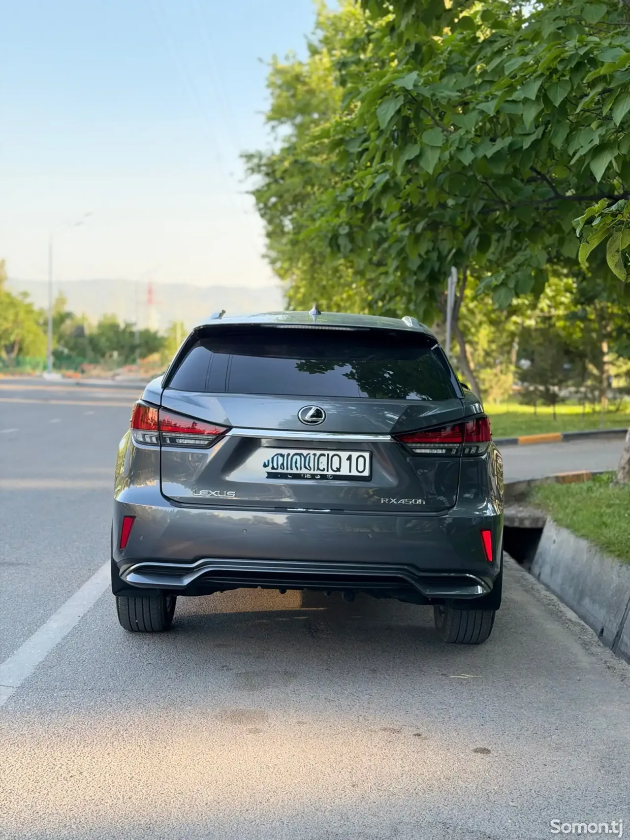 Lexus RX series 2022 · 4.5 AT