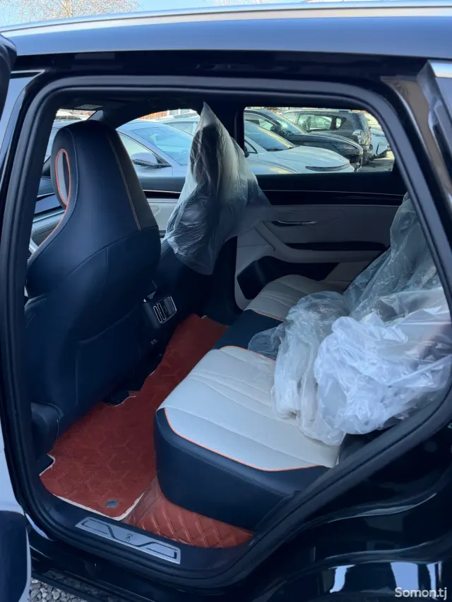 BYD Song Plus 2025 · AMT