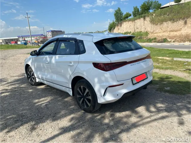 BYD E2 2023 · AMT