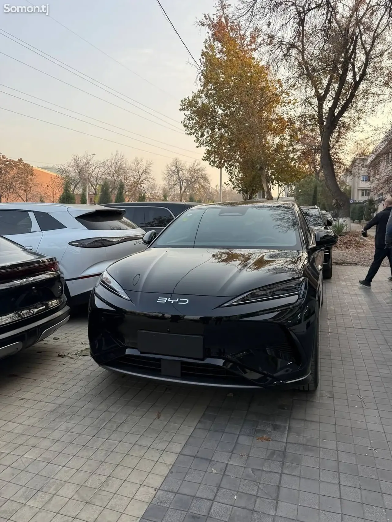 BYD Song Plus 2025 · 2.5 AMT