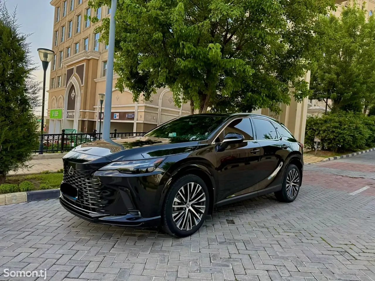 Lexus RX series 2025 · 3.5 AT