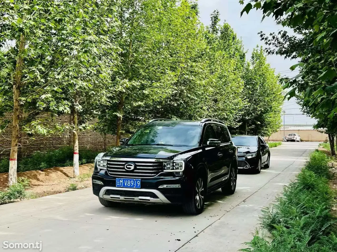 GAC Trumpchi GS8 2017 · 2.0 AT