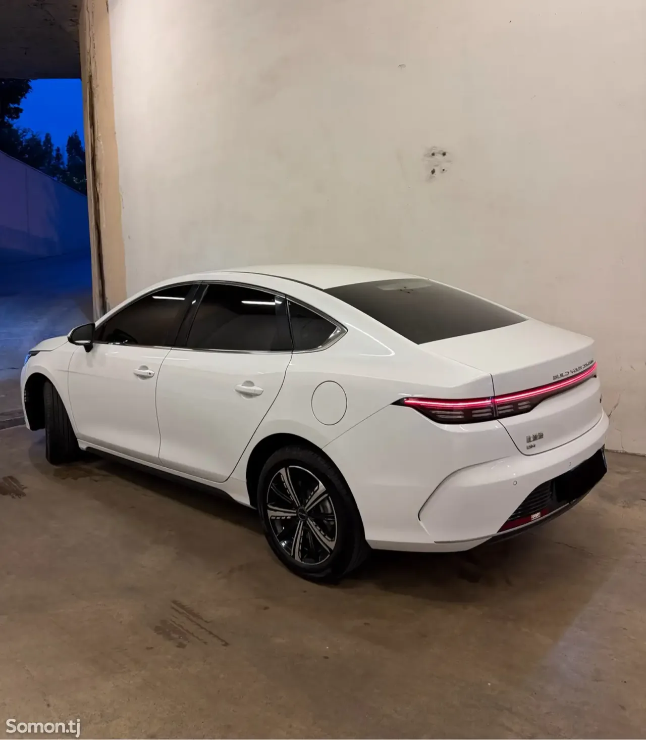 BYD Другие модели 2024 · 1.5 AT