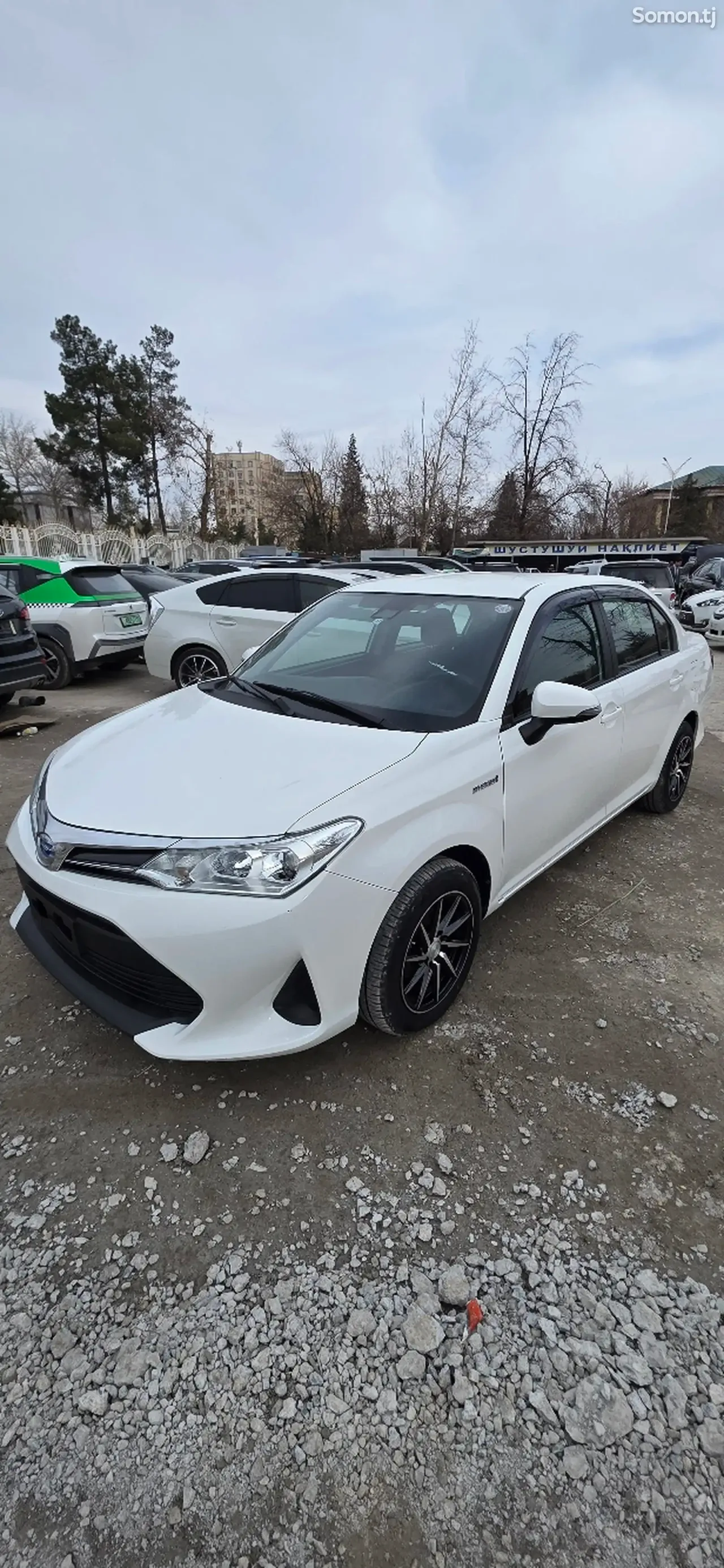 Toyota Axio 2020 · 1.5 CVT