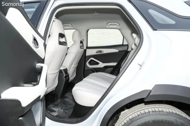 BYD Yuan Up 2025 · AMT