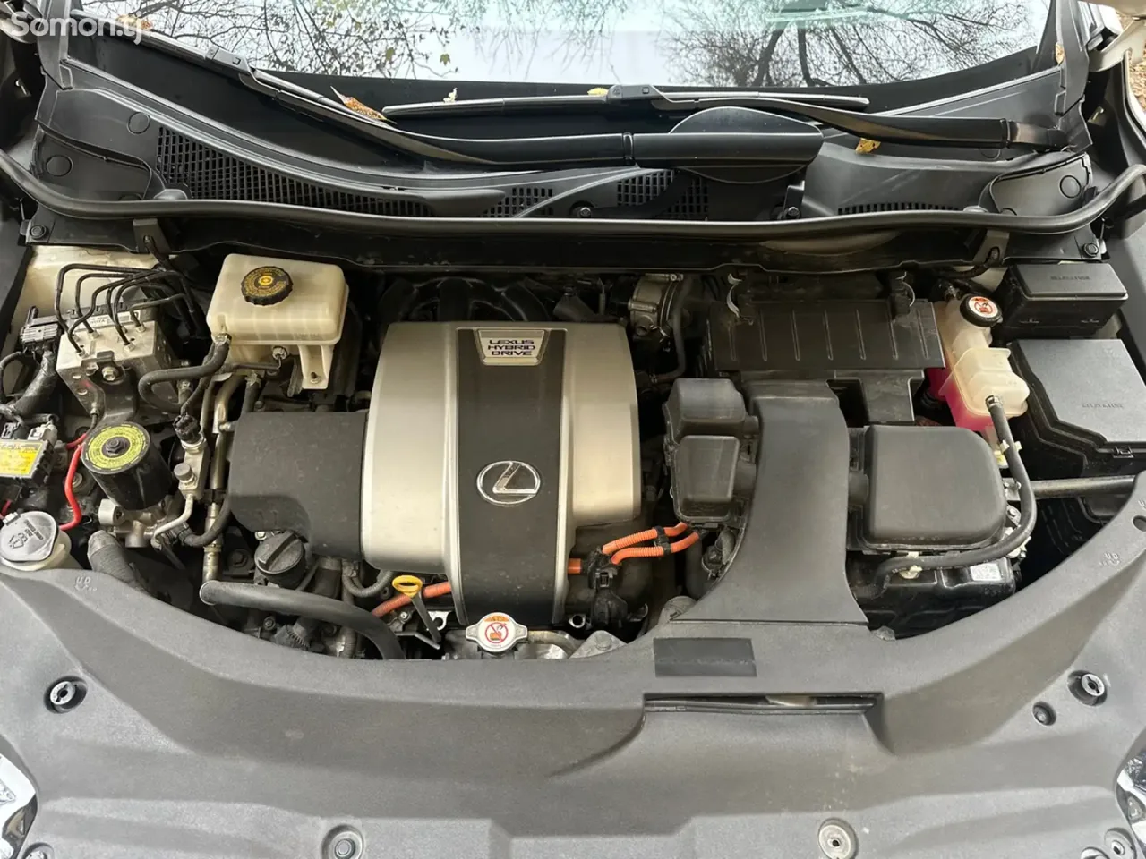 Lexus RX series 2019 · 4.5 AT