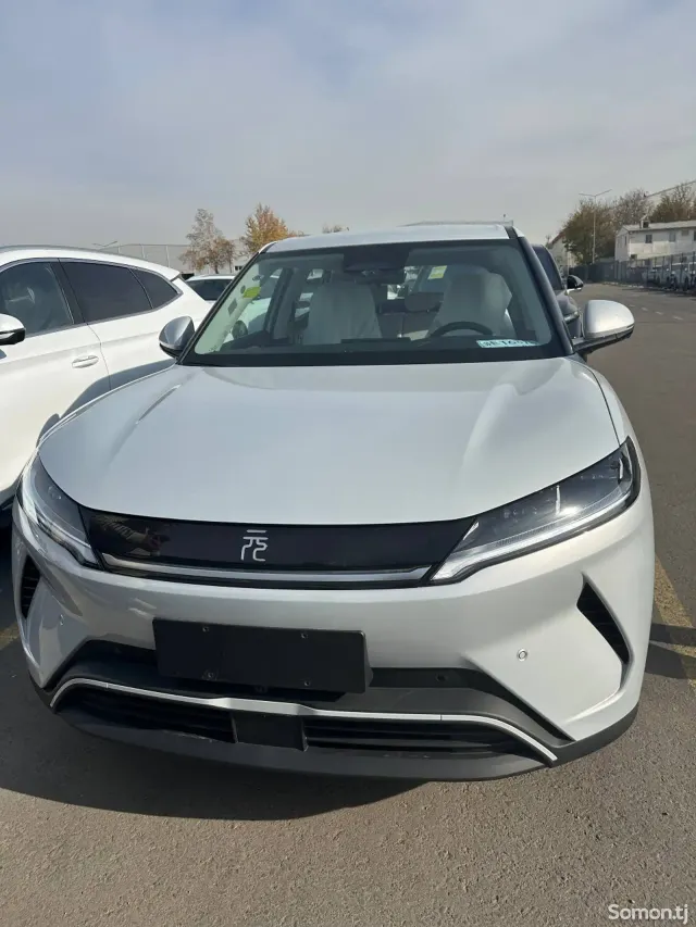 BYD Yuan Up 2025 · AMT