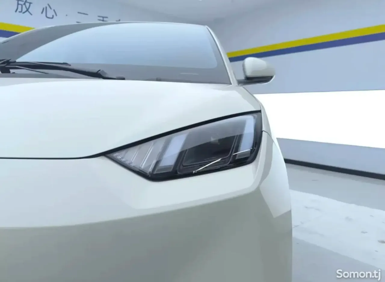 BYD Seagull 2024 · AT