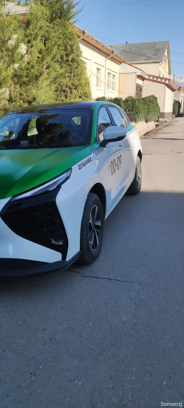 Dongfeng Forthing 2024 · AT