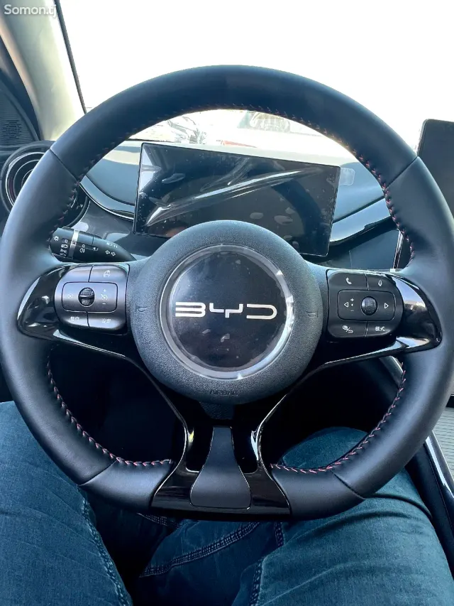 BYD E2 2025 · AMT