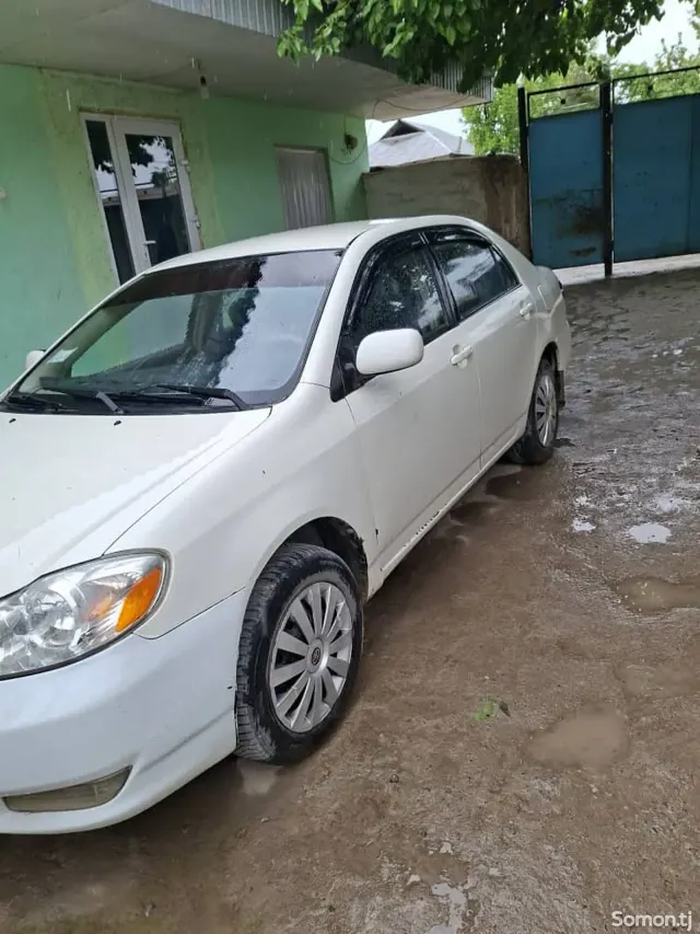 Toyota Corolla 2006 · 1.3 MT