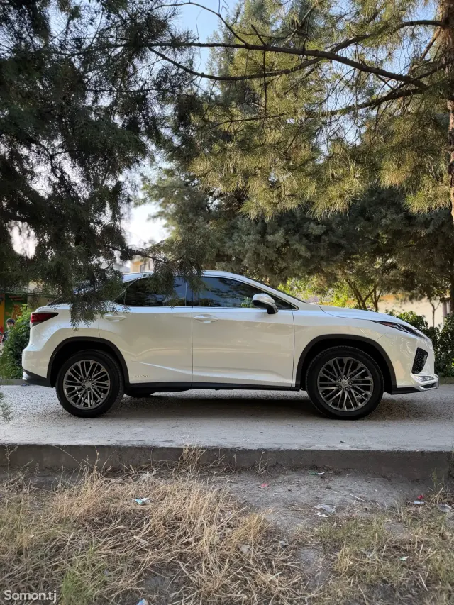 Lexus RX series 2019 · 4.5 AT