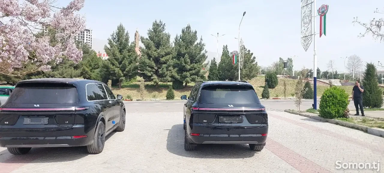 Li Auto (Lixiang) L9 2025 · 1.5 AMT