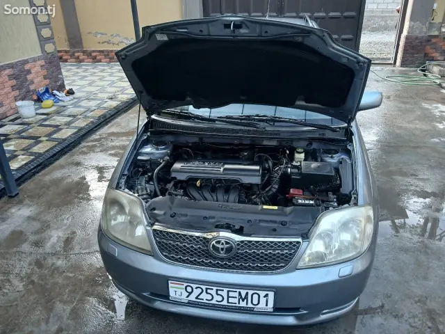 Toyota Corolla 2004 · 1.6 MT