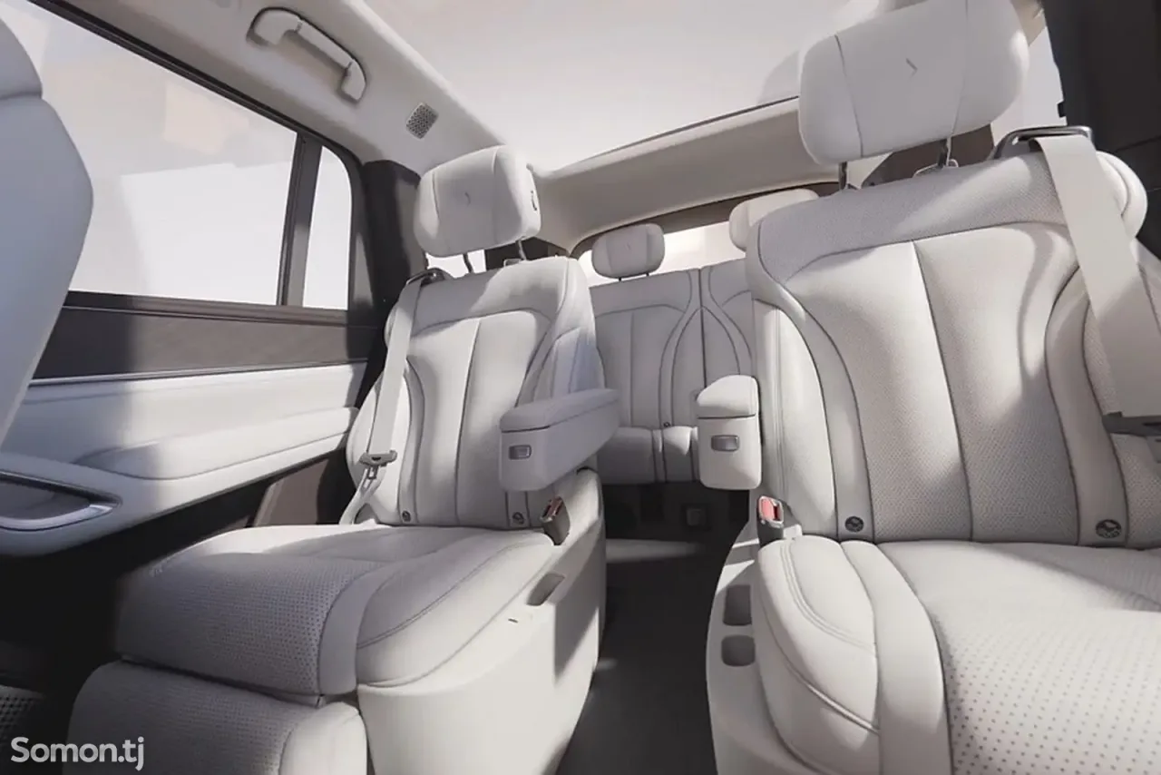 BYD Denza N9 2025 · 2.0 AT