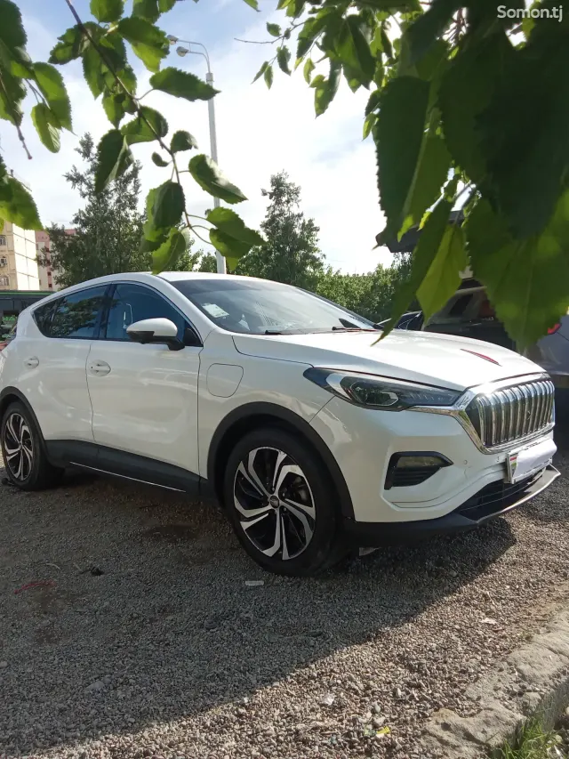 Hongqi E-HS9 2020 · 3.5 AMT