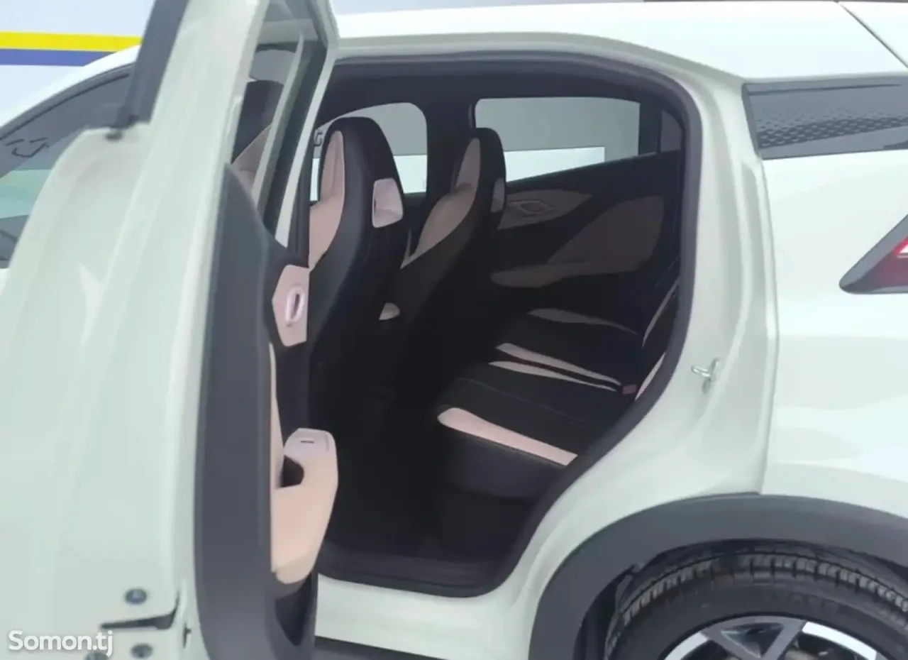 BYD Seagull 2024 · AT