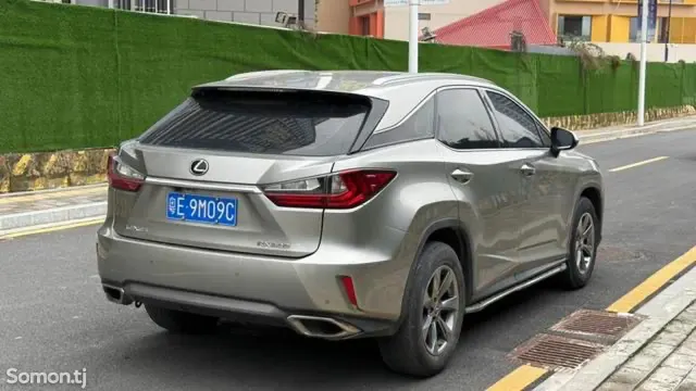 Lexus RX series 2018 · 2.0 AT
