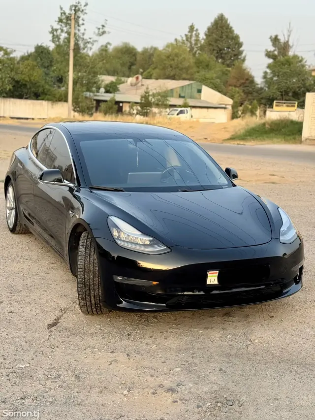 Tesla Model 3 2019 · AMT