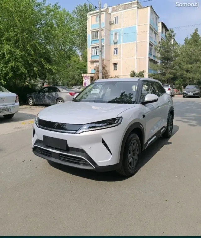 BYD Yuan Up 2025 · AMT