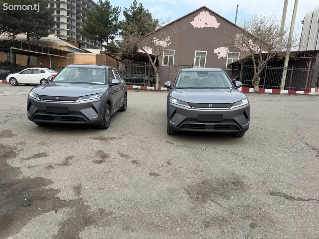 BYD Yuan Up 2025 · AT