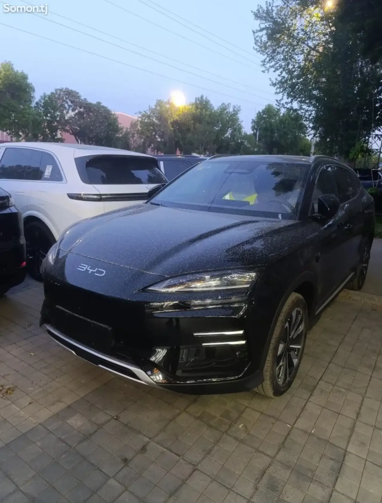 BYD Song Plus 2025 · AMT