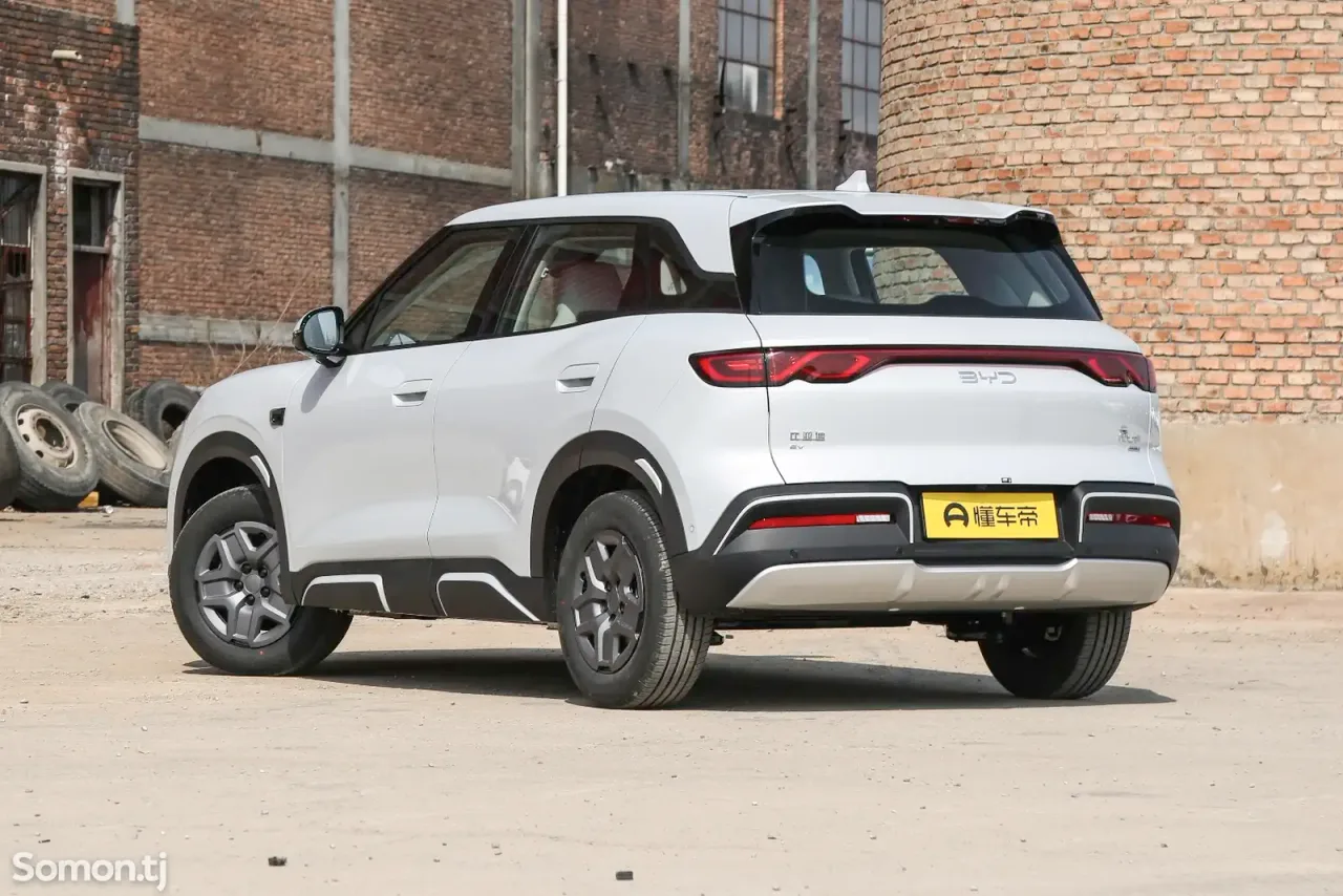 BYD Yuan Up 2025 · AMT