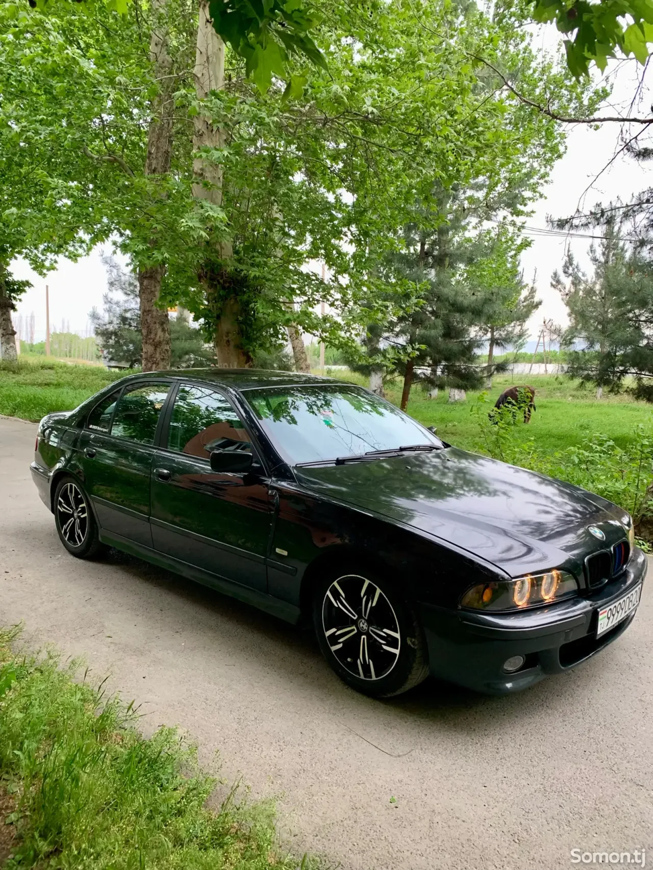 BMW 5 series 1998 · 2.0 MT